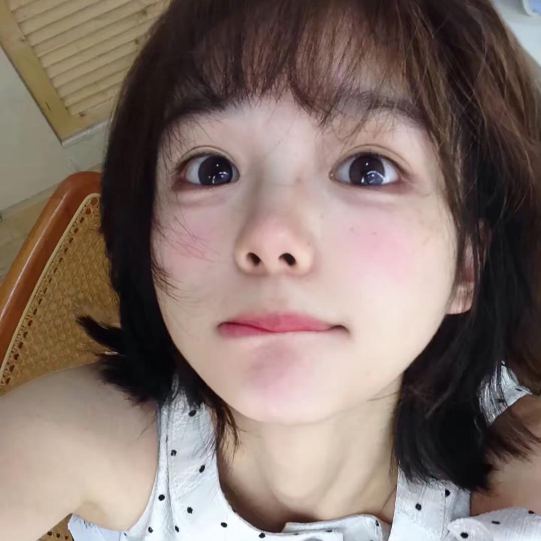 冬眠猫