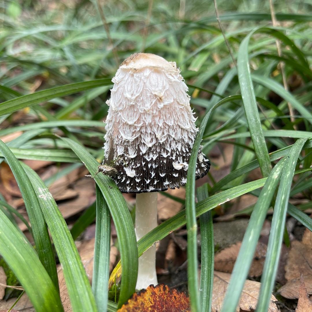 🌈天一阁