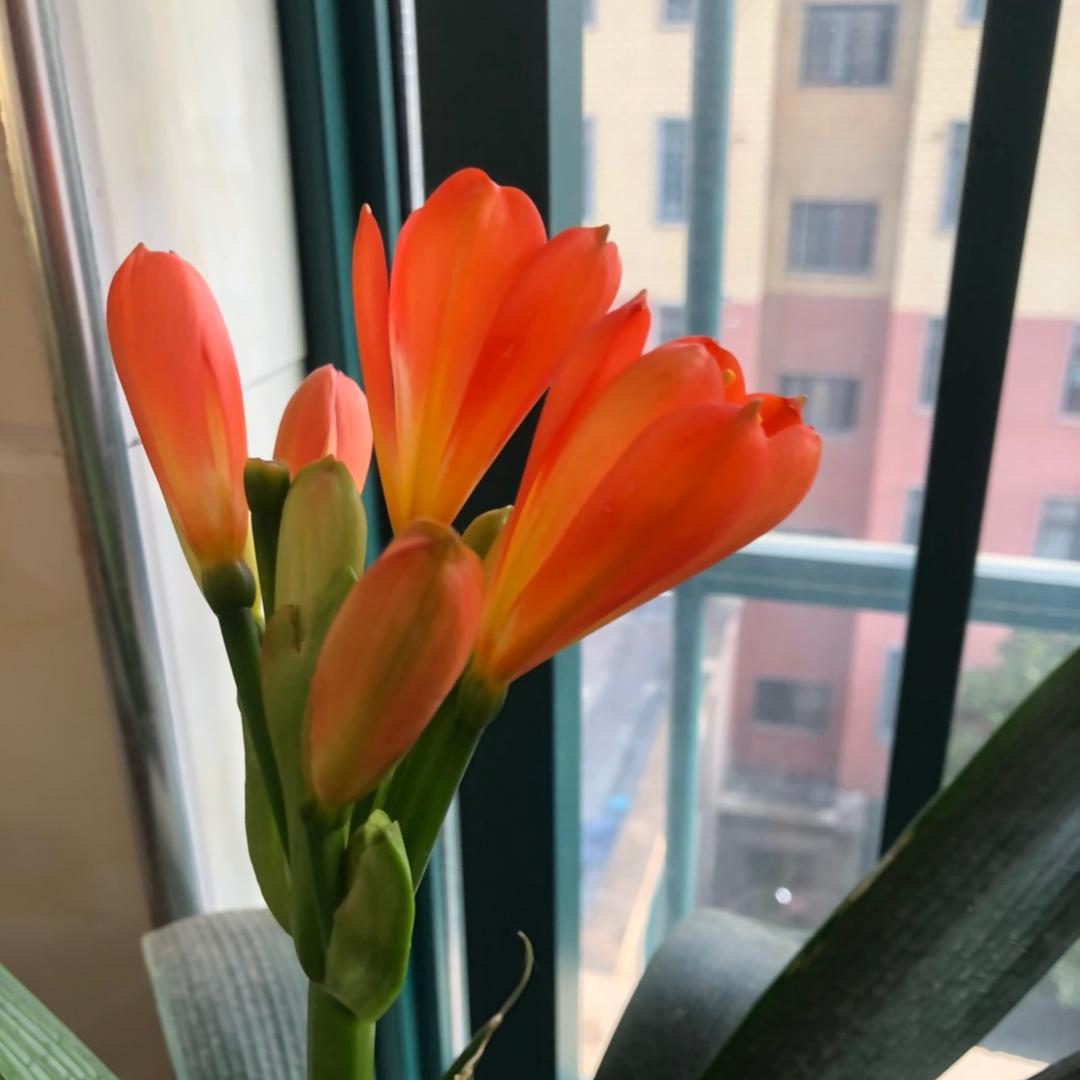春天来了，