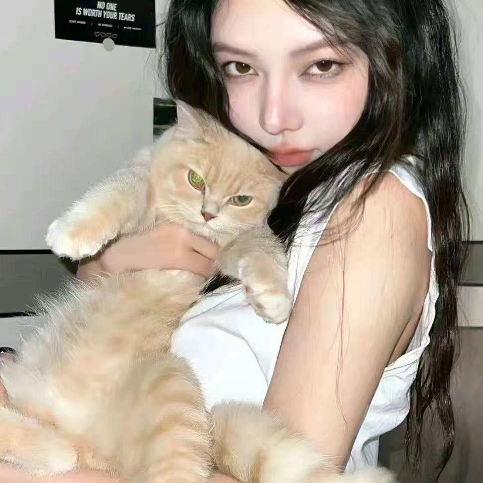 崔崔猫儿