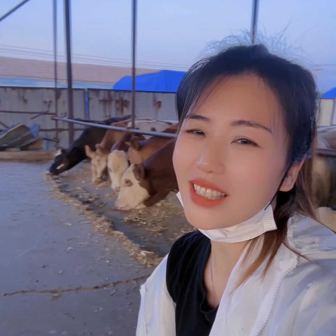 诚顺号任姐牛羊肉店清真