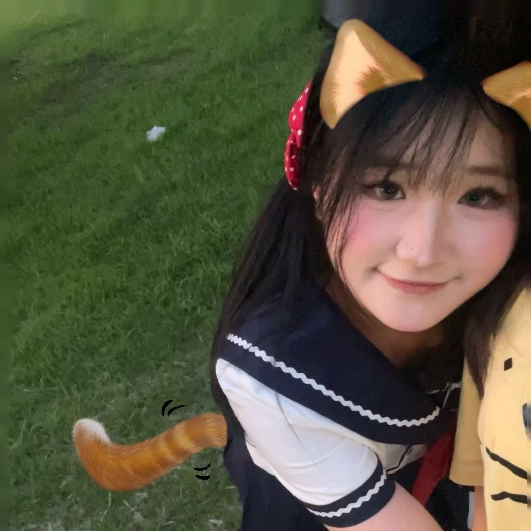 猫猫不睡觉