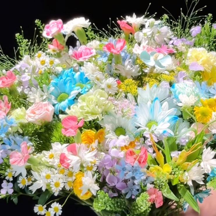 ໑ຼₒ₂₃ღ᭄  依然爱你  🕊꧔ꦿ᭄