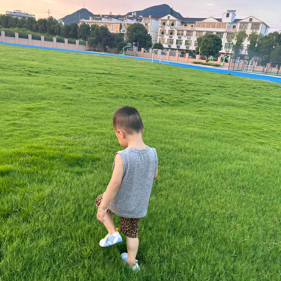 小陈多多