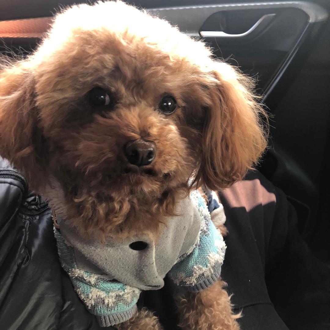 铃兰（拒绝私聊）