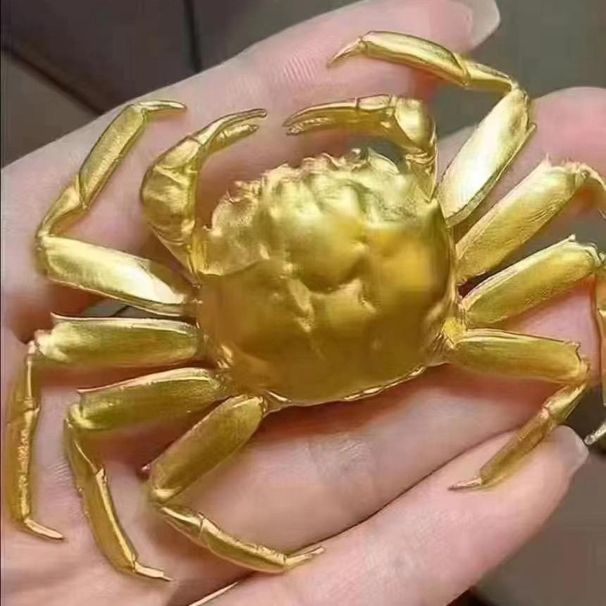 了不起的小坤坤