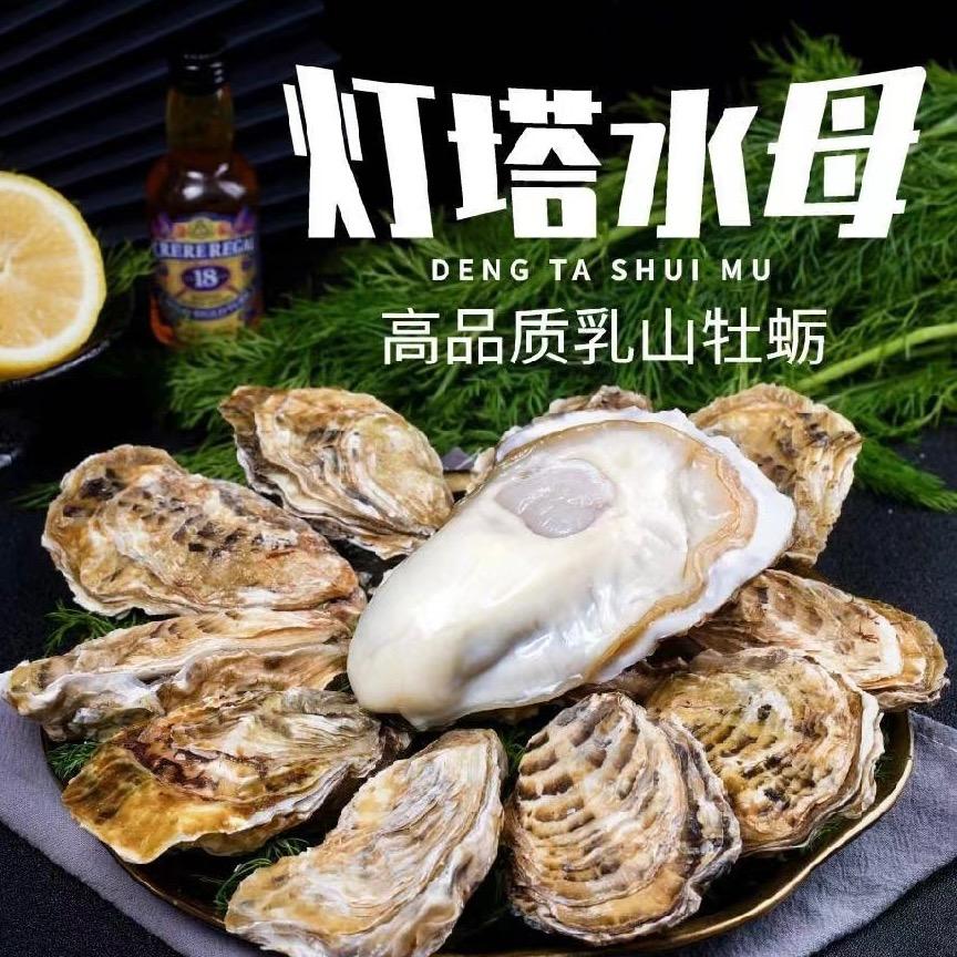 灯塔水母@
