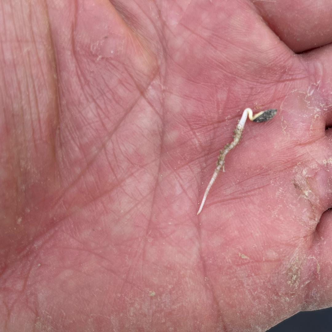 铁牛铁臂拓沃疆