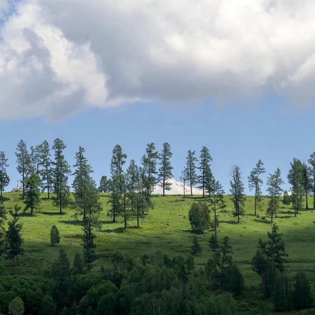 风衣外套西装✨小苏