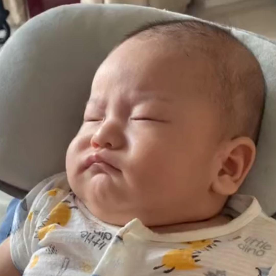 养🐮日记
