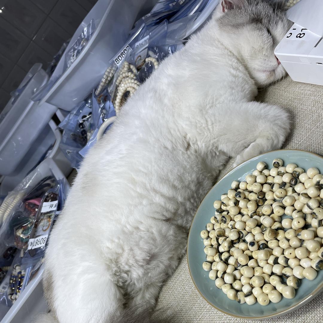 百达通猛犸文玩