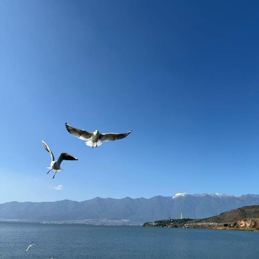 爱唱天下🎤🎙️