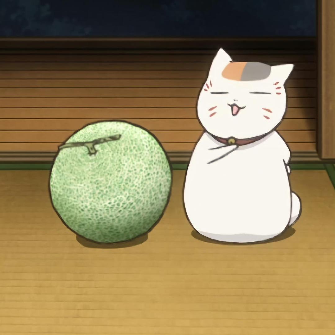 平静的黑色小本本77