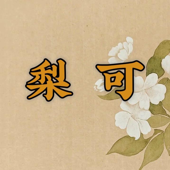 梨可服装工作室