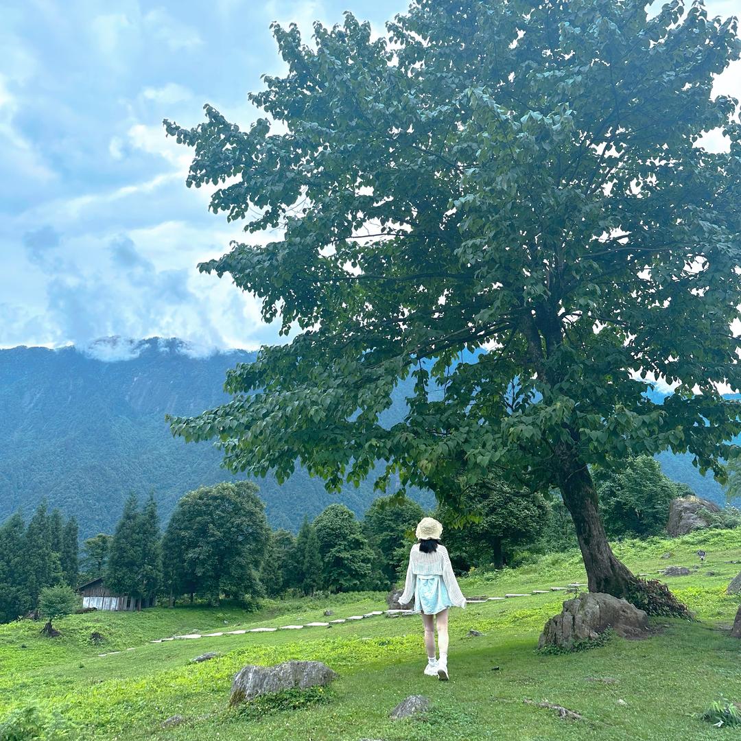 🌸梅ོ❥林ྀ♡芬໌ღ芳ཽ✨.…林ྀ