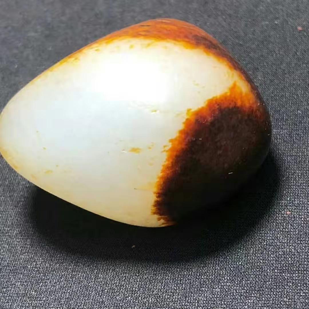 小石籽1