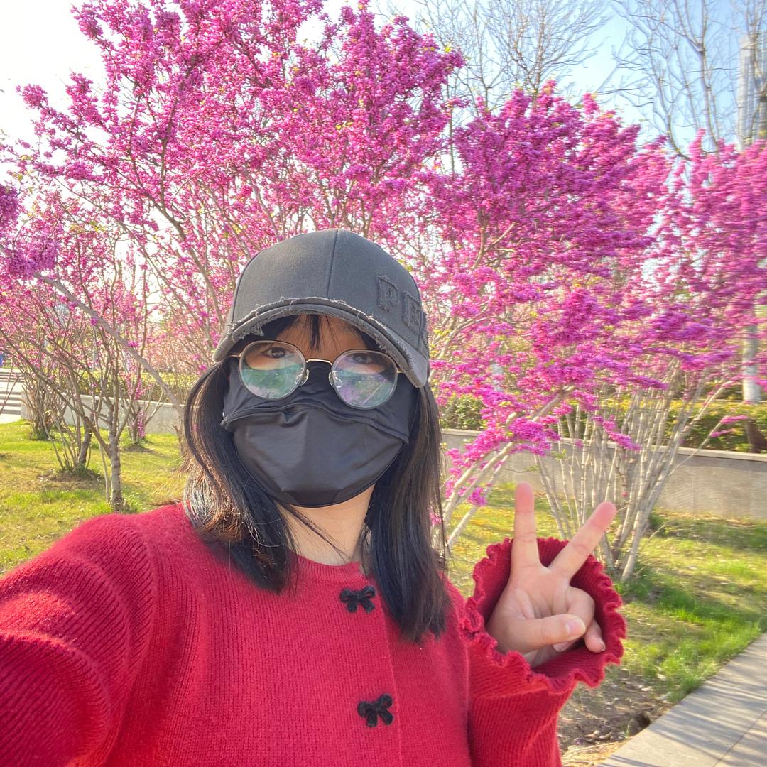 十七🍓