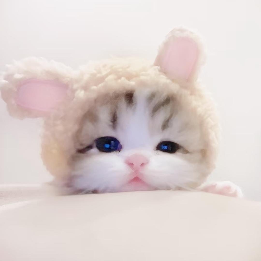 小萌婷