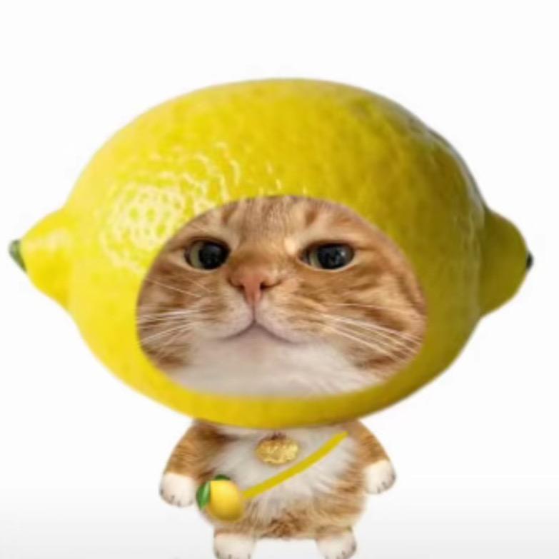 金桔柠檬多加冰