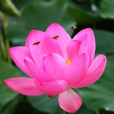 中老年穿搭
