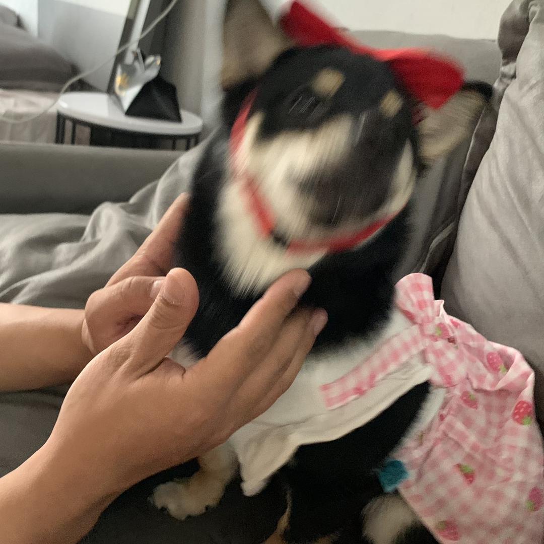 凸凸No.1🚀（🥝版）