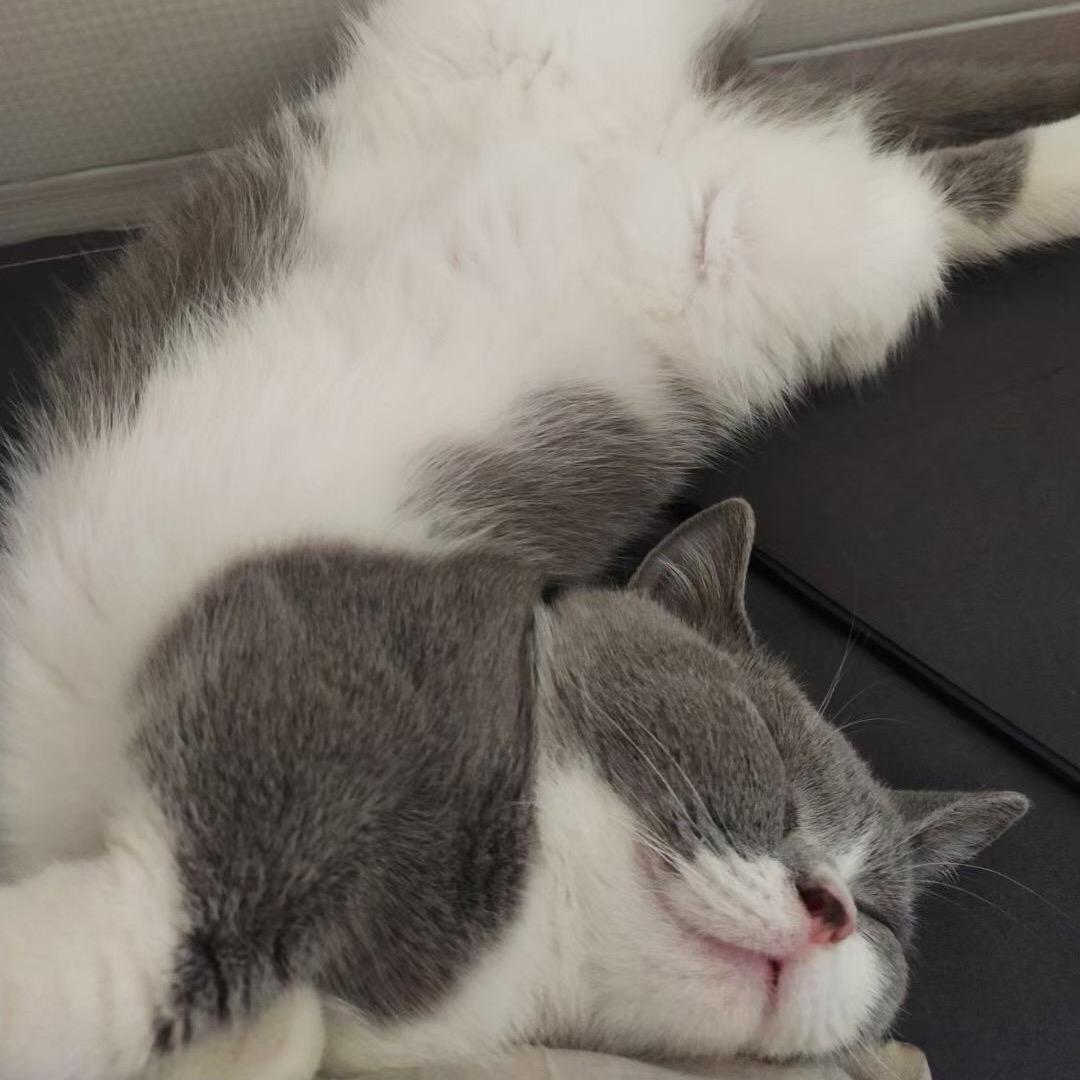 不可见的