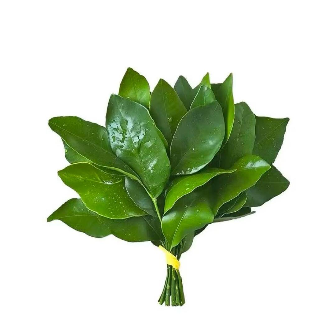 粥^-^