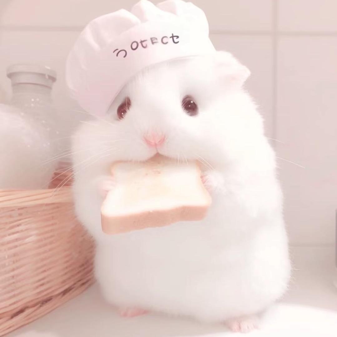发呆呆呆呆