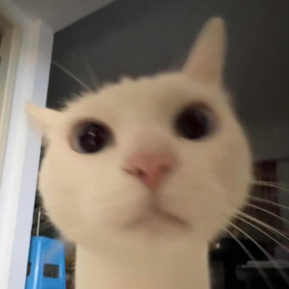 桔沫ᵁ