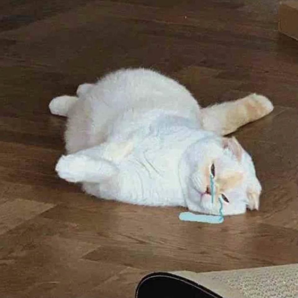 麻辣鱼头
