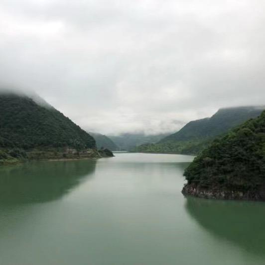 爱钓野鲫
