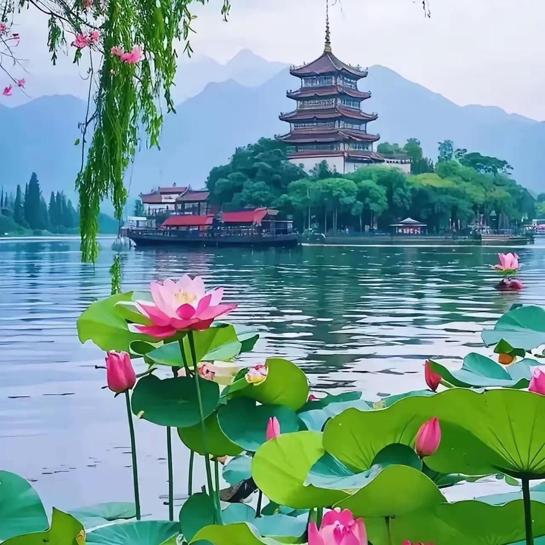 三桂