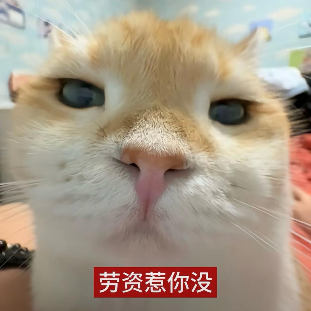 碎碎