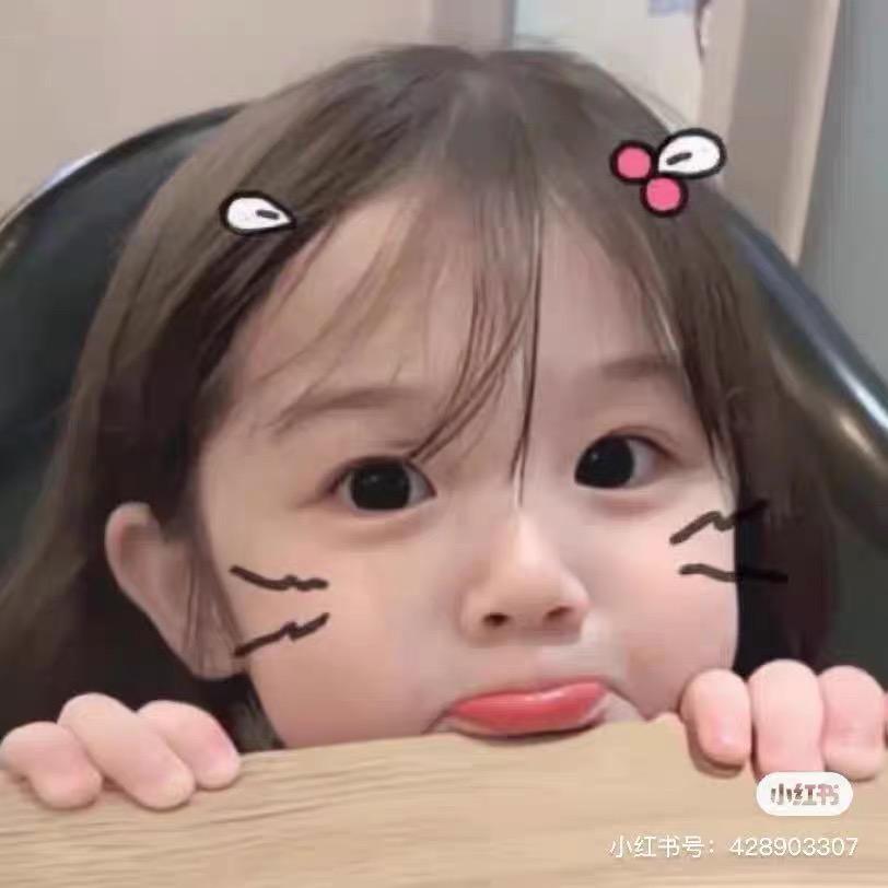 ～喵喵～