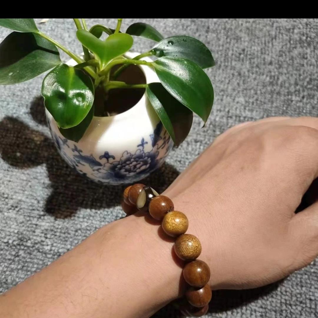 @任我行