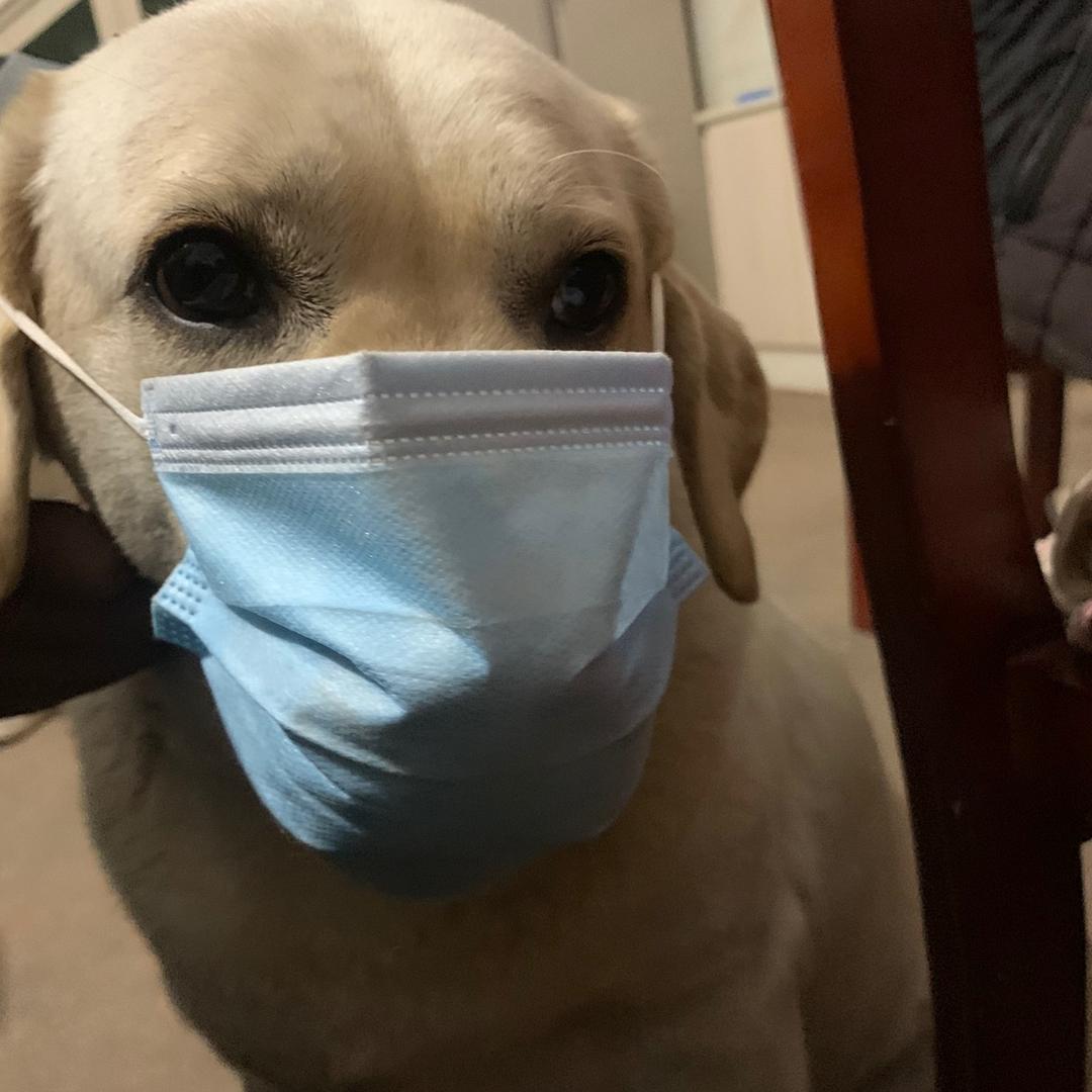 平烦的人