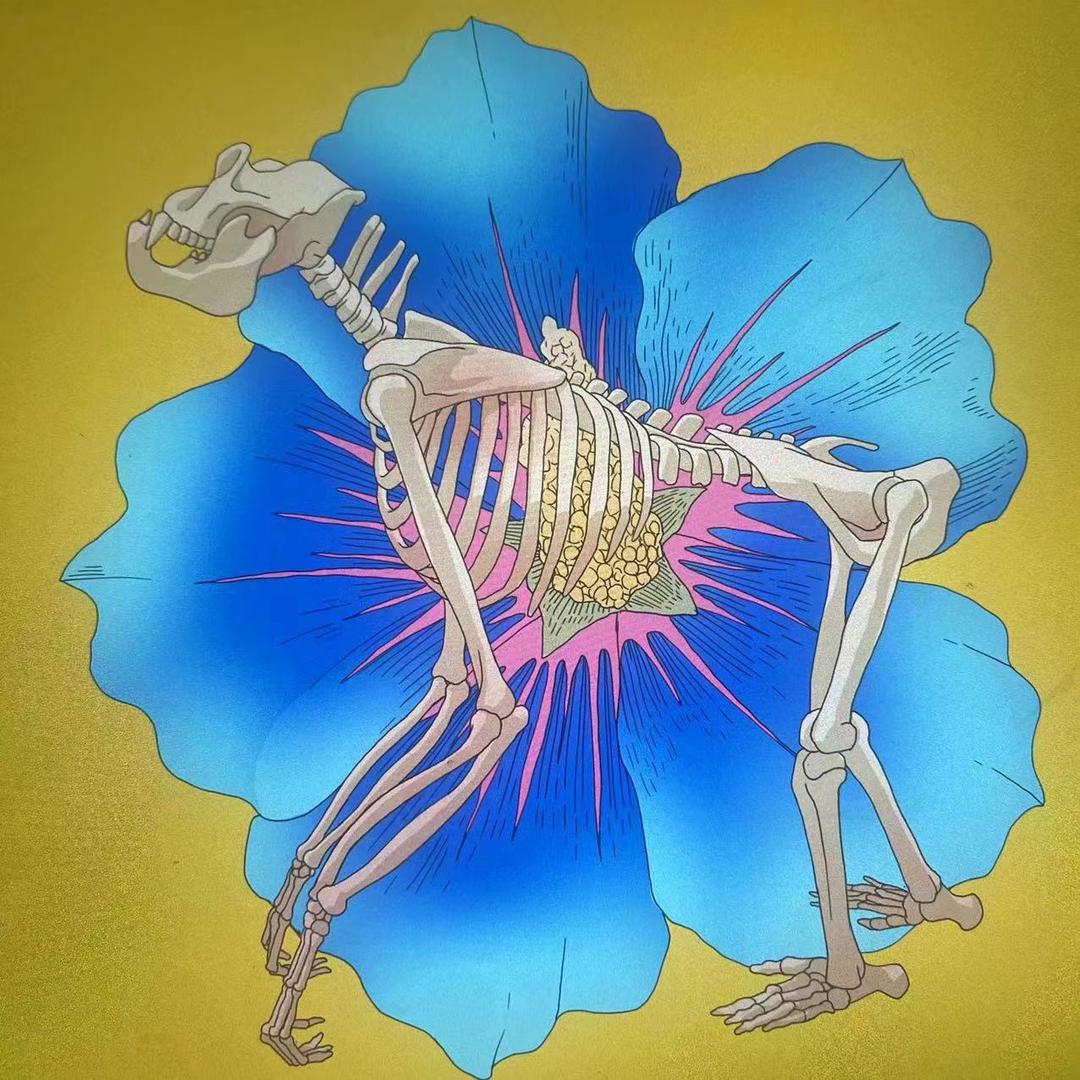 有好物品质衣铺