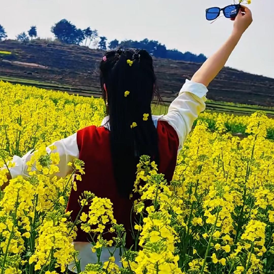 奔跑的小野猫🐼