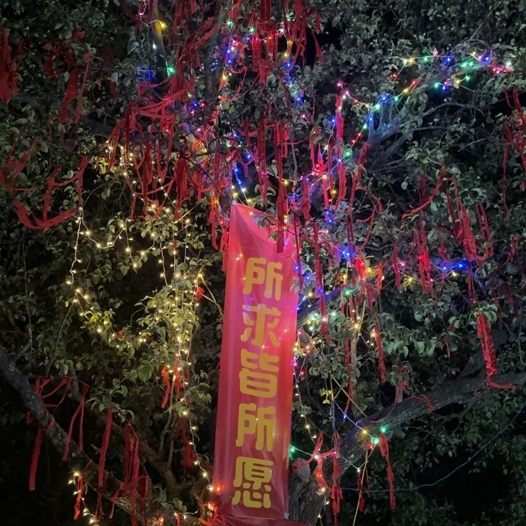 梨园放炮10