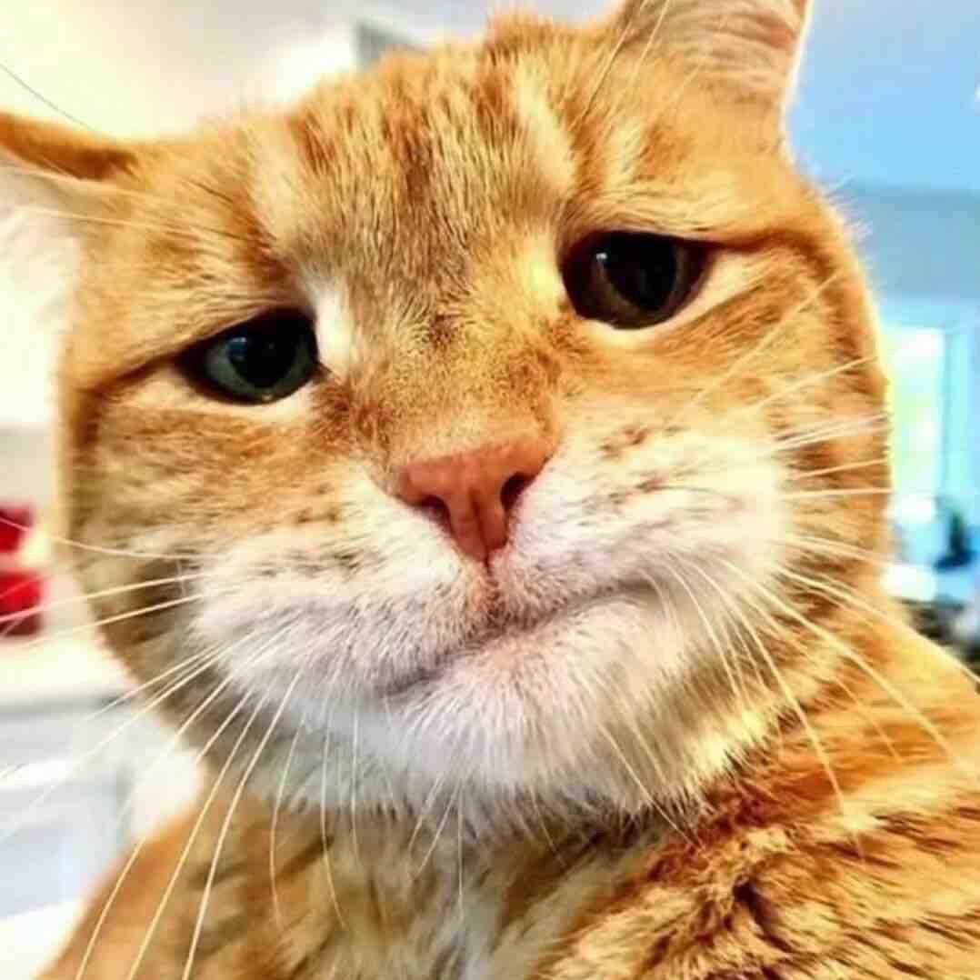 对了那谁