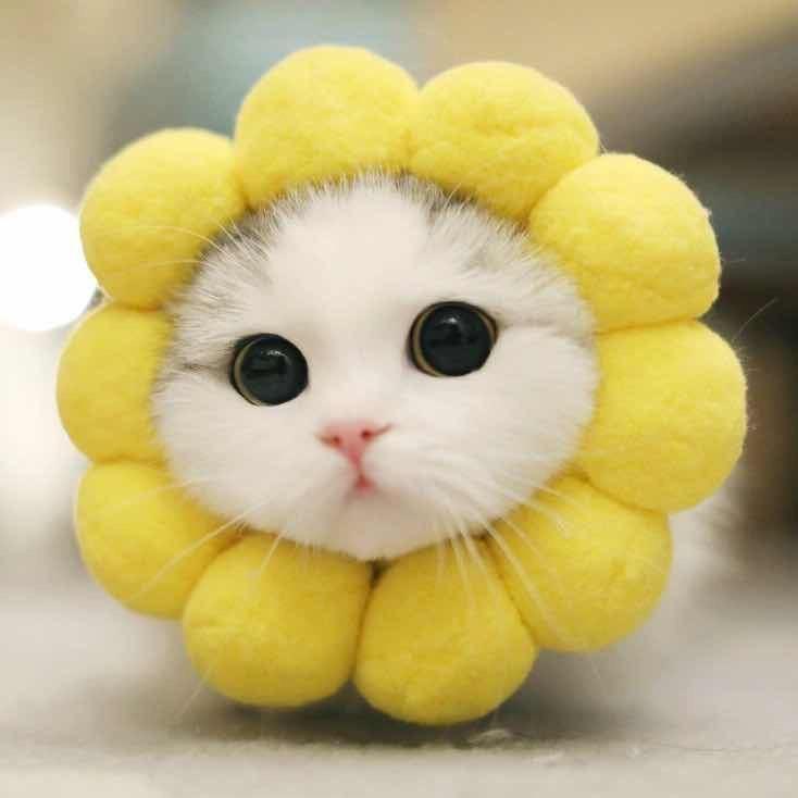 给你我要的幸福