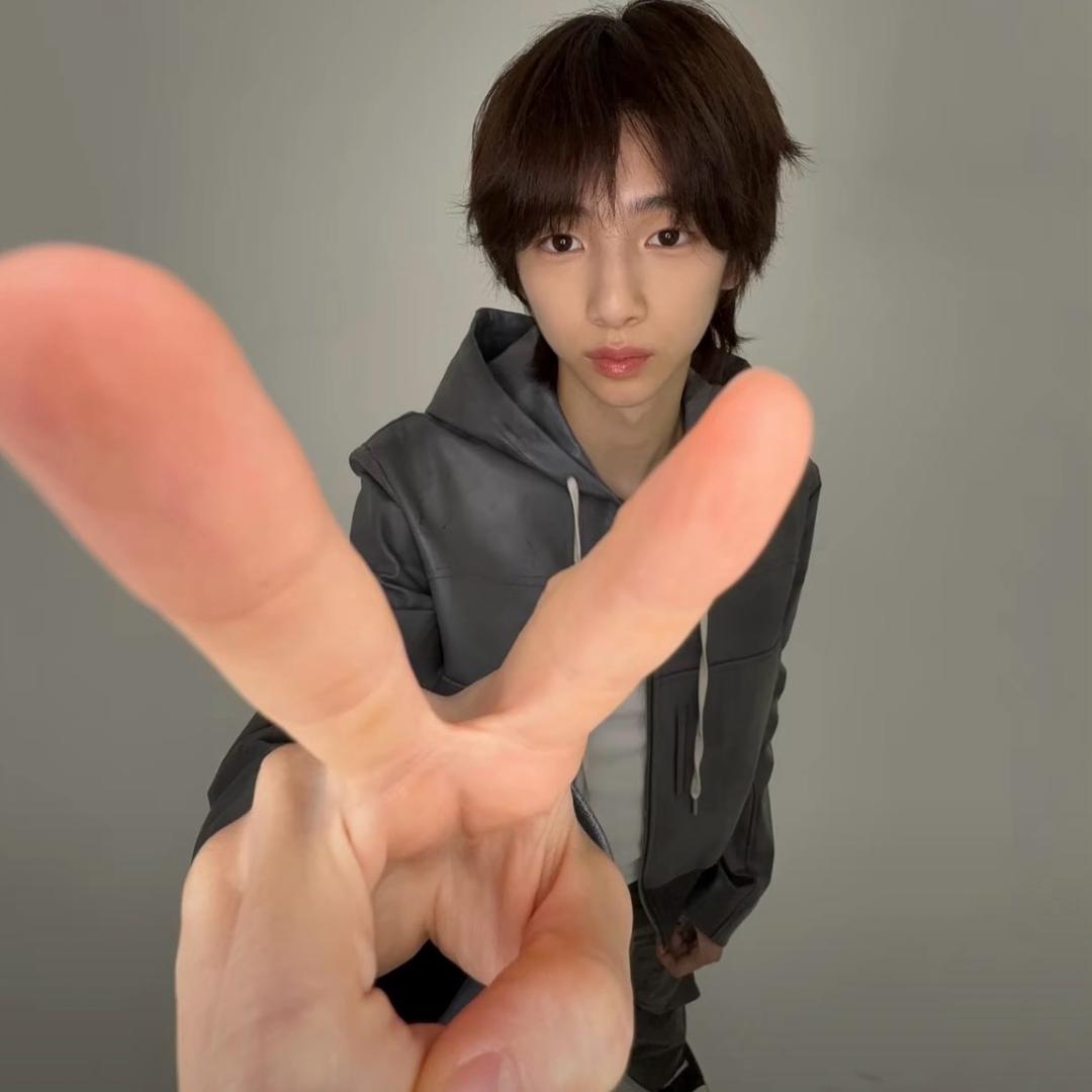 李叉叉licc
