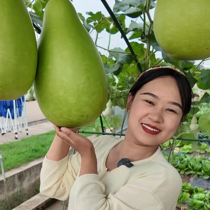 格格真不菜（种有机菜）