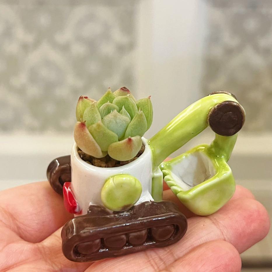 鲸鱼先生小陶器