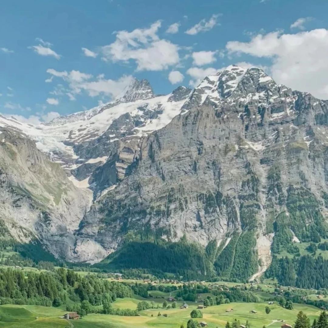 („ಡωಡ„)栓Q