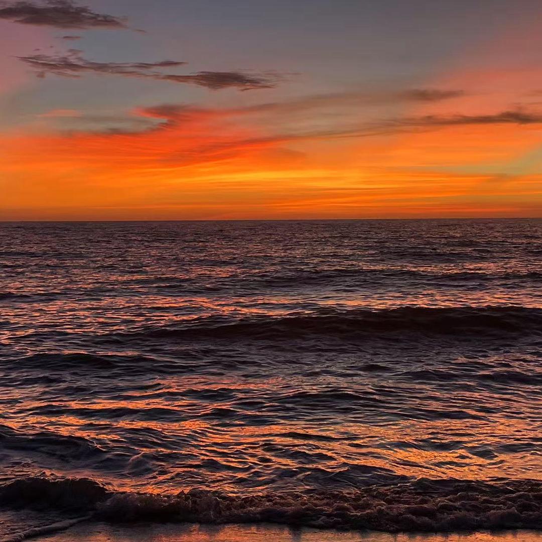 小张许的什么愿