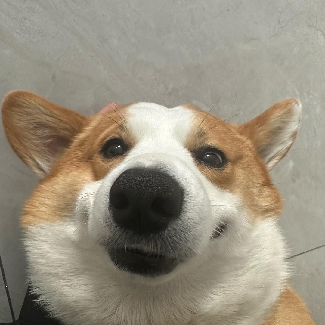 阿花花吖