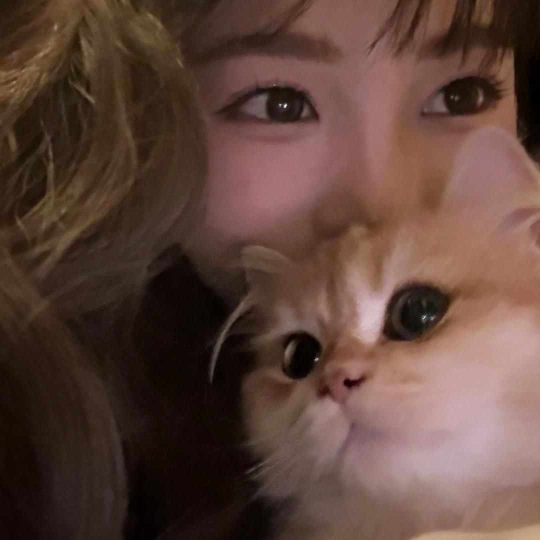 年年布丁有元宝～