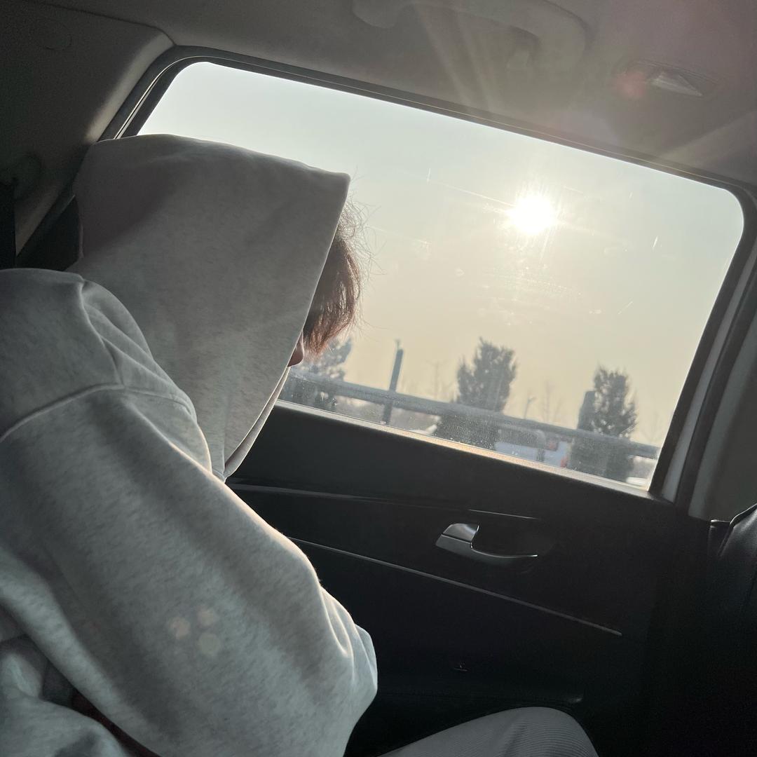 别管树懒