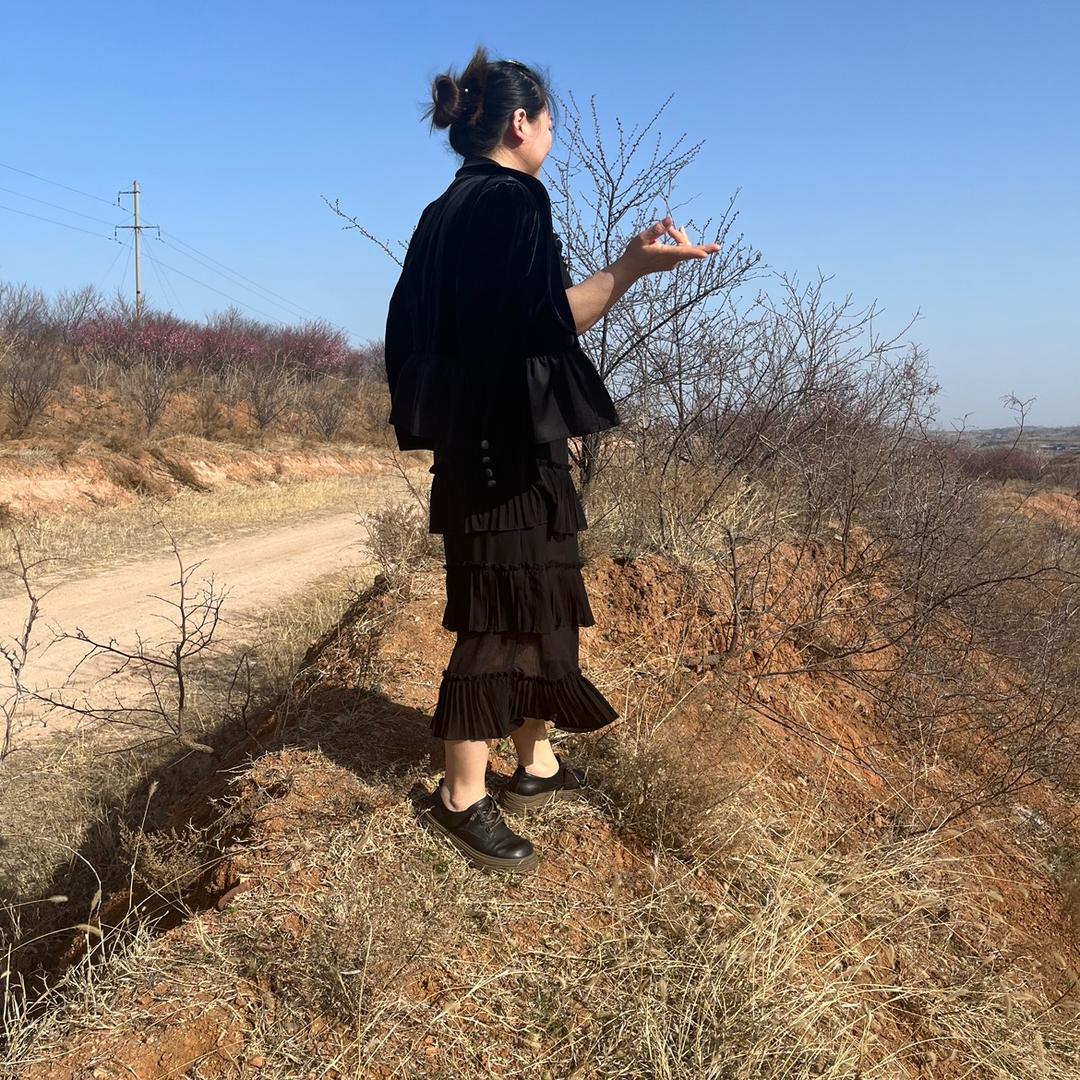 郏县豆腐菜（城垣中路）